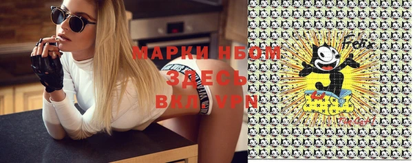 PSILOCYBIN Белокуриха