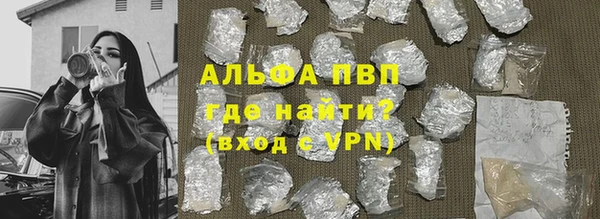 PSILOCYBIN Белокуриха