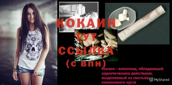 PSILOCYBIN Белокуриха