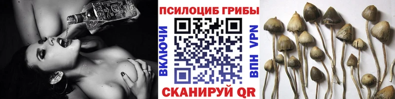 цены   hydra ТОР  Галлюциногенные грибы Cubensis  Валуйки 